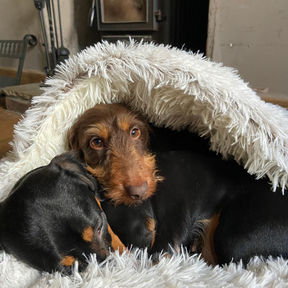 Burrow Buddy™ - Pet Bed