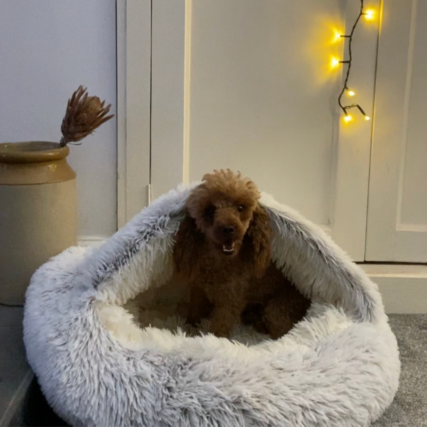 Burrow Buddy™ - Pet Bed