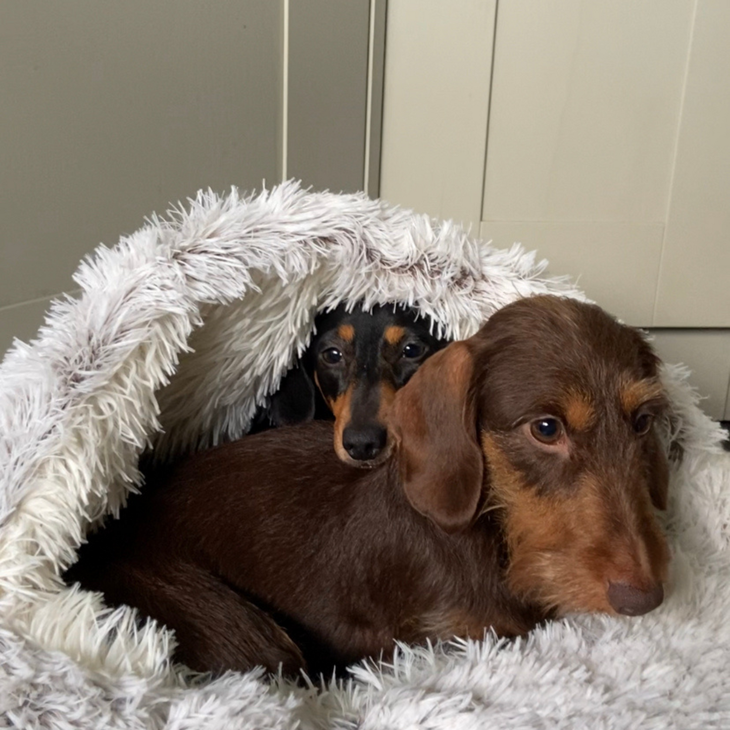 Burrow Buddy™ - Pet Bed