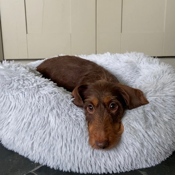 Calming Cloud™ - Pet Bed