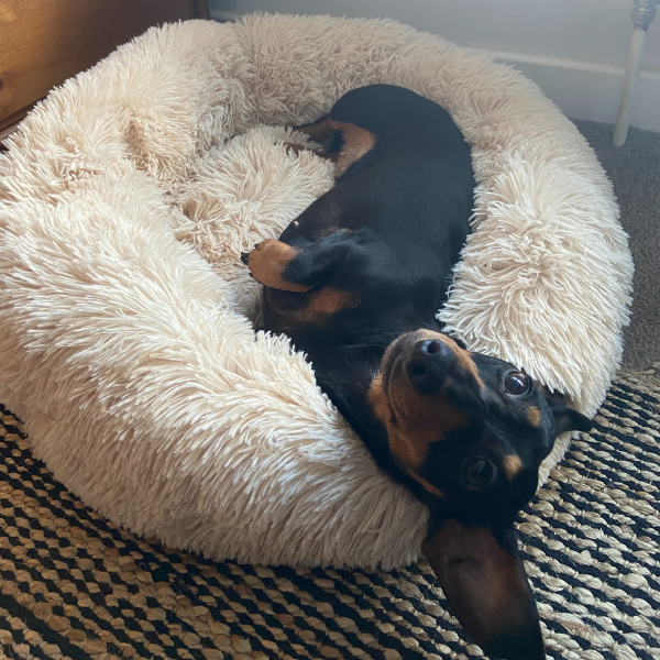 Calming Cloud™ - Pet Bed