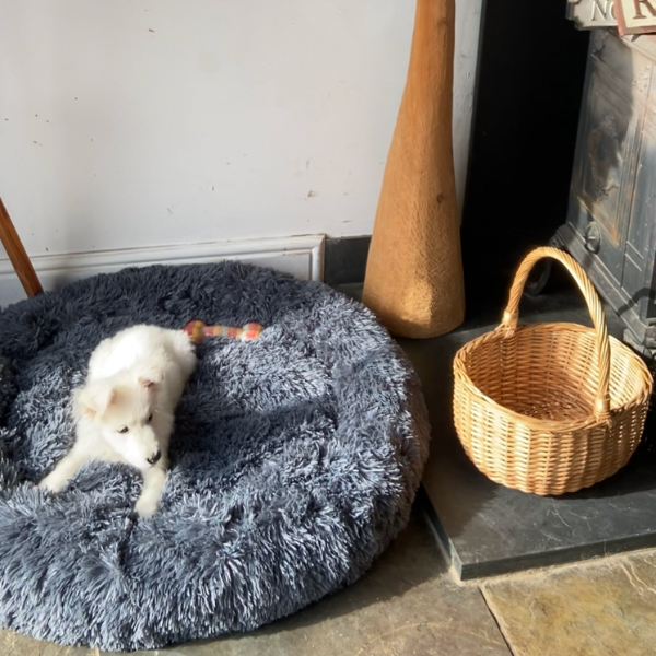 Calming Cloud™ - Pet Bed