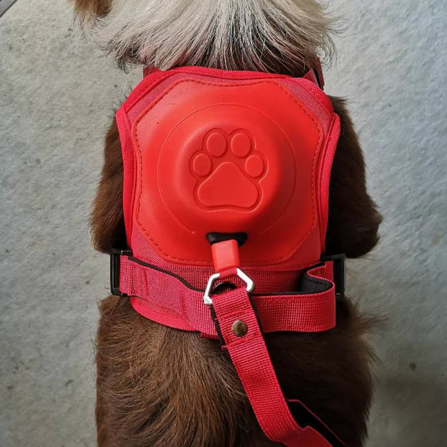 Retractable 3-in-1 Leash Harness