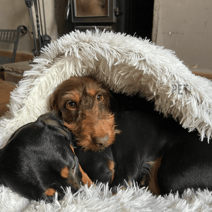 Burrow Buddy™ - Pet Bed