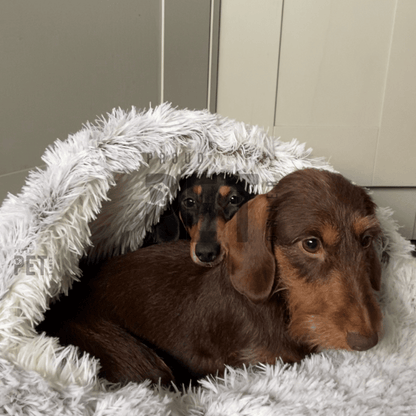 Burrow Buddy™ - Pet Bed