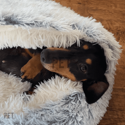 Burrow Buddy™ - Pet Bed