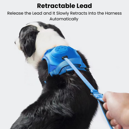 Retractable 3-in-1 Leash Harness