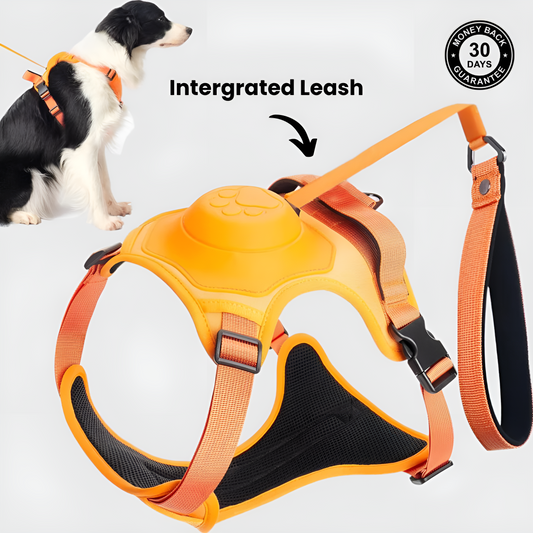 Retractable 3-in-1 Leash Harness